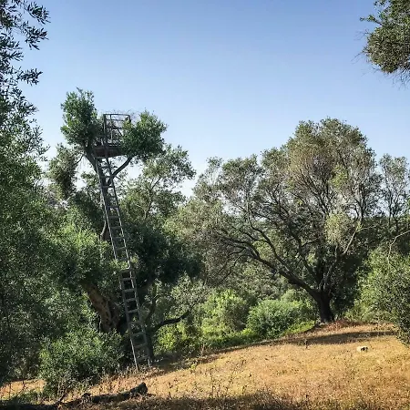 別荘 Hidden Gem In Nature Reserve Near The - Corfu South *